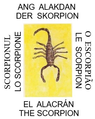 Scorpion
